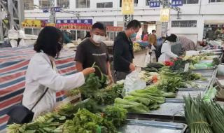 上海买菜到底难不难 叮咚买菜抢不到菜